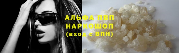 крисы Ельня