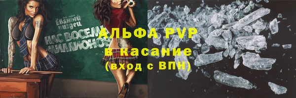 индика Волосово